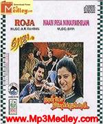 Naan Pesaninaipathellam 1993